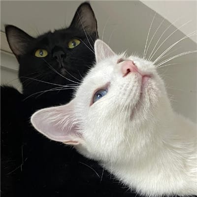 วิน เมธวิน avatar