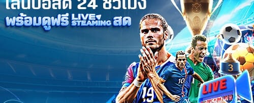 โบนัส VIP ระดับพรีเมียม promotion banner